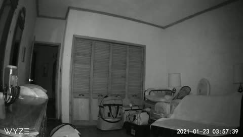 Wyze Security Cam Captures Orb #7