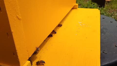 Swarm landing board