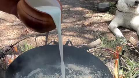 What makes a great lunch in the wild for me and my dog?