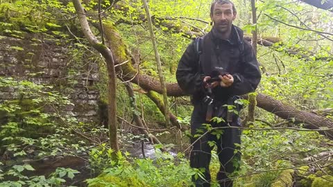 Crossing a River Using a Tree Doesn't go as Planned