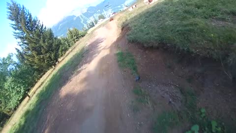 Speedy Mountain Biker Films Moment When He Nearly Lands On A Cow