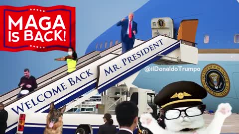 HILARIOUS: MAGA Is Back, Trump Dancing On Air Force One!