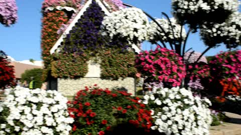 The Dubai Miracle Garden