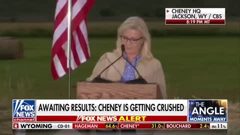 Liz Cheney concedes
