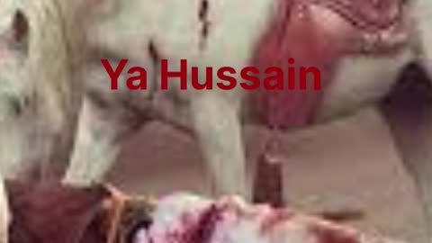 Hajarat Imam Hussain Ne Shahadat Ke Waqt ALLAH Se Kya Arj Kiya?