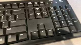 Keyboard by Logitech