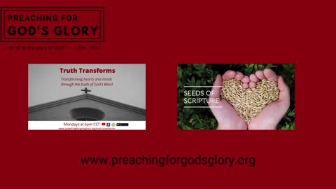 Proverbs 24 - Seeds of Scripture (Daily Bible Reading)