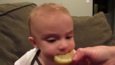 Baby tastes lemon for the first time