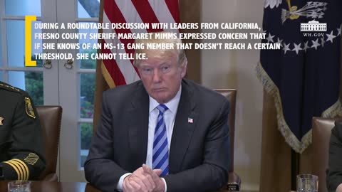 President Trump's MS-13 Comments