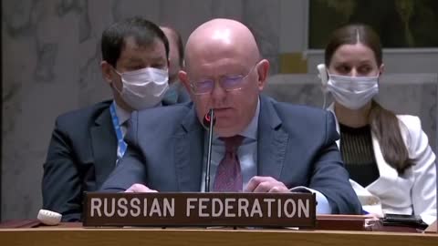 Russia At The UN - March 11th, 2022