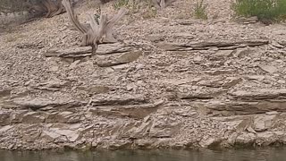 Hidden lake in Colorado