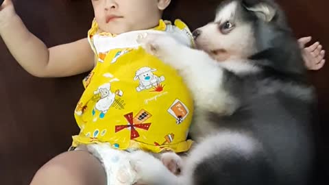Baby and Puppy Relax Together