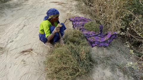 Morning Routine of Desert Women Cooking Traditional Breakfast India Village Life