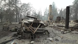 Paradise California Camp Fire Cat Rescue