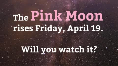 The Pink Moon Is Coming