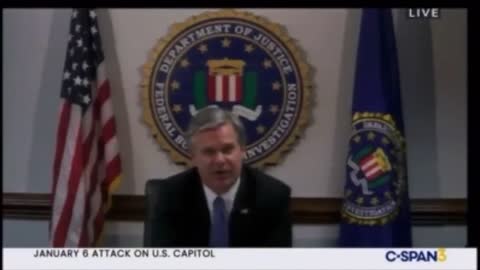 Watch FBI Director Wray Get Destroyed at a Congressional Hearing on Jan. 6