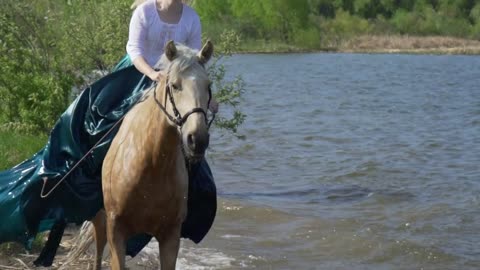 Gray horse jumps in water with woman in slowmotion