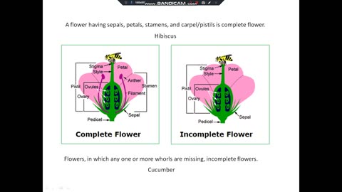 Pollination and it's type lecture 2@Biology#Botany All Biology