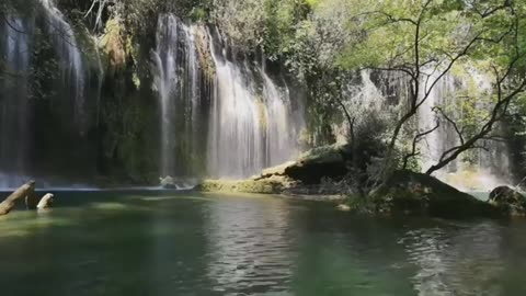 Clear Lake in the Middle of a Dense Forest