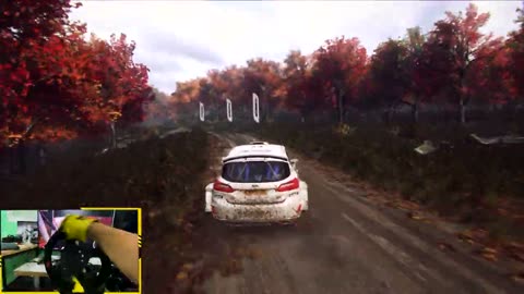 Dirt Rally 2.0 WRC - Ford Fiesta MKII In New England