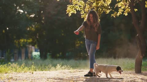 Attractive young woman playing with dog jack russel terrier in park during beautiful sunset