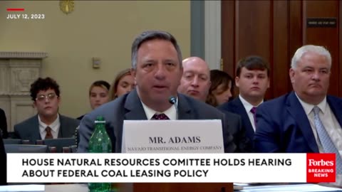 'Pixie Dust And Unicorns To Replace It': Witness Warns Of Inadequate Energy Substitute For Coal