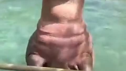 A hippo who learned a strange game