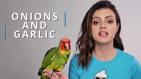 10 Foods that are POISONOUS to Birds! ⚠️ Foods TOXIC to Parrots! 🦜 PARROT CARE 101