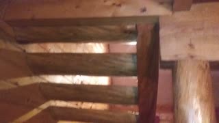 Tiny Vid on the Staircase