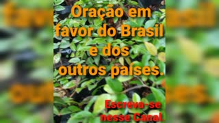 Oração em favor do brasil e dos outros países🙌🏻. Bênçãos de Deus.