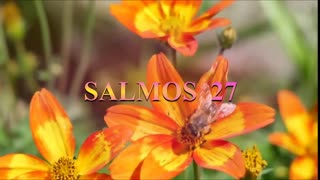 SALMOS 26, 27, 28. Reina Valera 1960 audio