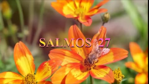 SALMOS 26, 27, 28. Reina Valera 1960 audio