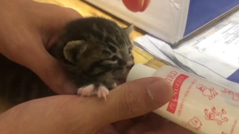 Baby eating milk