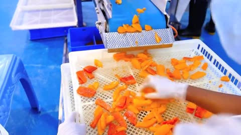 How it made Dried Fruit and Fruit Snack - Durian,Strawberry,Pineapple Chips Processing in factory