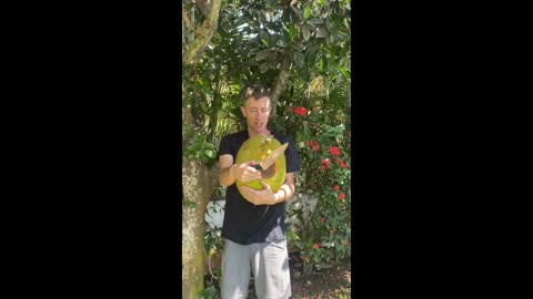 Cutting Down a Mexican JackFruit