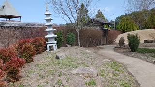 Japanese Garden At Discovery Park Of America