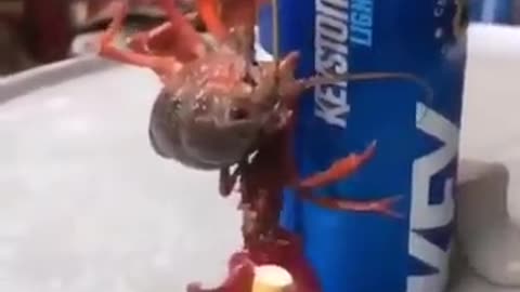 Crab That Smoking
