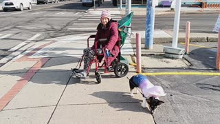 Sasha, Bella and I walk Garland Street 2024