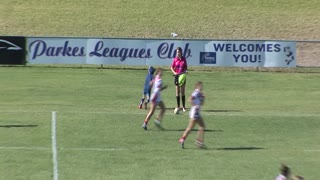 Kangaroo Interrupts Rugby Game