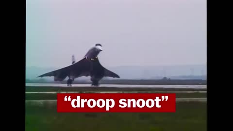 Droop Snoot