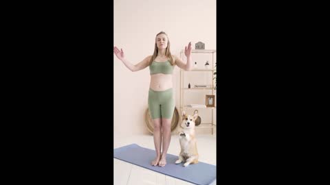 lovely dog doing yoga