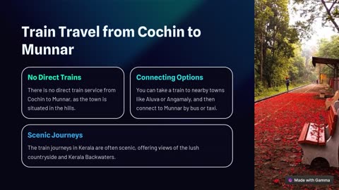 How To Travel From Cochin to Munnar