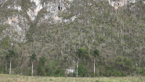 Viñales, Cuba, the most beautiful land