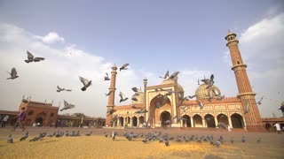 Group of Pigeons Flying Formation in Front of Masjid ' Ya Allah '