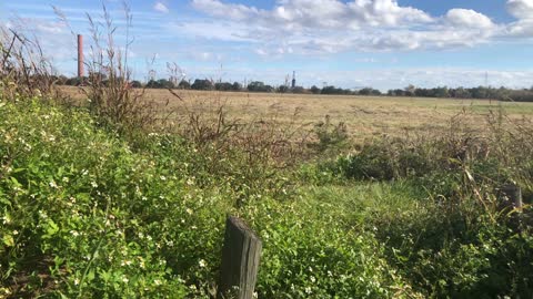 Chalmette Battlefield_8