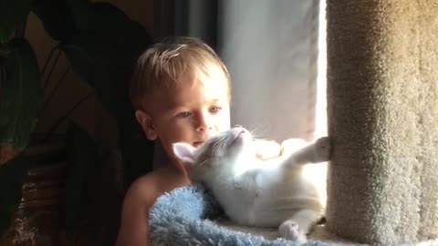 Grandson and kitten