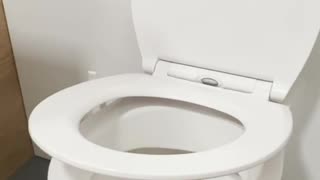 Don't Use It If You See A Paper Roll Under Toilet Seat