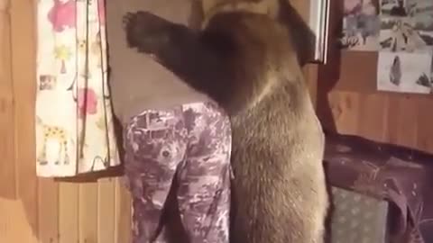 This big bear got His best friend