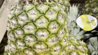 Great pineapple fruio