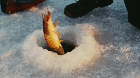 ICE FISHING CATCHING A SMALL PIKE